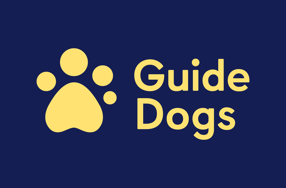 the-guide-dogs-for-the-blind-association-fundraiser-volunteer